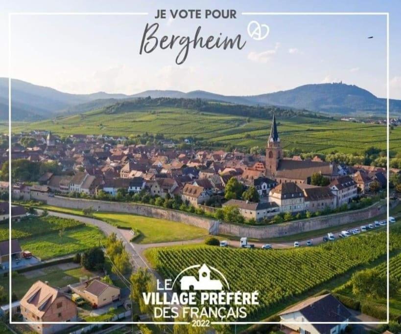 Gite Boniface Pour 2 Pers ベルクハイム エクステリア 写真